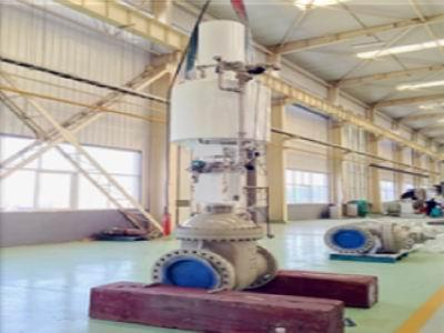 1504847422544990.jpg 5.jpg