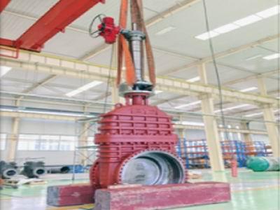 1504847433739876.jpg 6.jpg